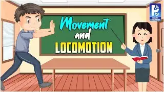 Movement And Locomotion : Voluntary VS Involuntary Movements | Grade 6 Science Class