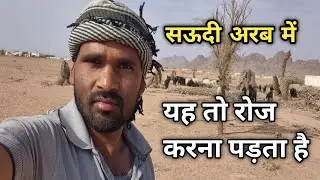 सऊदी अरब में यही है रोज का काम | chandan good enfo  |