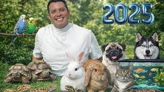 Estas son MIS MASCOTAS | 2025 (+34)