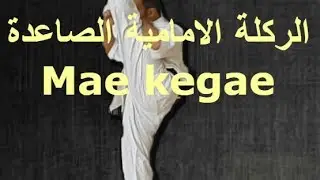 Mae Keage  تعلم ركلة الماي كياجي (الركلة الامامية الصاعدة ) احدى ركلات الكيوكوشن كاراتية
