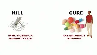 JHSPH World Malaria Day 2019 &ndash; Flaminia Catteruccia &ndash; Malaria Elimination in Africa