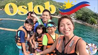 SWIMMING IN THE OCEAN with WHALE SHARKS - OSLOB Cebu 🇵🇭🐋 an adventure of a LIFETIME ♥️