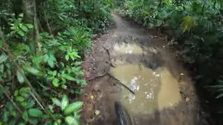 Gangsa MTB trail. Chestnut Nature Park, South loop