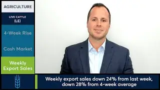 Cattle futures edge lower while Lean Hog futures trade in wide range. 7/18/25