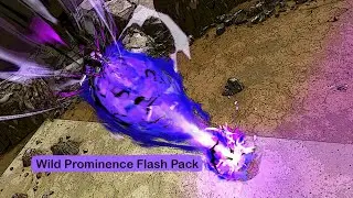 Wild Prominence Flash Pack