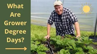 Can Knowing Grower Degree Days help?