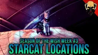 Gnashing Chamber | Sneaky Starcat Location | Week #3 | Destiny 2 Season of The Wish