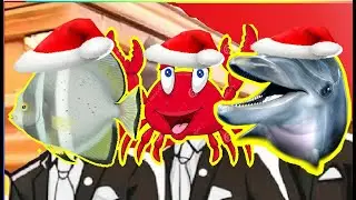 Queel Angle Fish Vs Crab Vs Dolphin - Animal Merry Christmas Song Cover