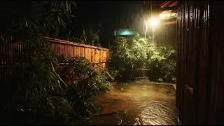 Hujan Sunyi Alam – ASMR Suara Hujan Untuk Pengantar Tidur – Rain Sound Suasana Tenang Untuk Tidur