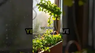 Create a Stunning Vertical Herb Garden in Your Kitchen! 🌿