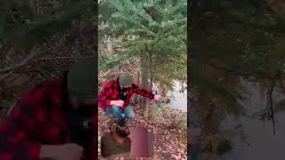 Je vous montre la frappe d'un pi&euml;ge 330 B&eacute;lisle Super X (le pi&egrave;ge qui bris&eacute; les doigt 😂)