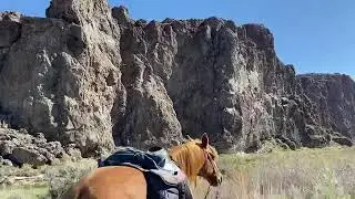 Thousand Creek Gorge, Sheldon National Wildlife Area, Nevada