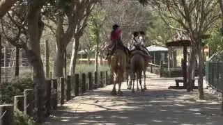 חי-פארק בקרית מוצקין, גן החיות היפה בישראל
