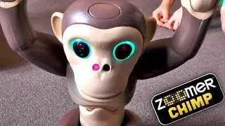 Zoomer Chimp - Day 2 - 100 Advanced Tricks and Phrases