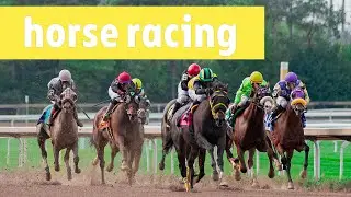 2 minutes on horse racing | epistemia