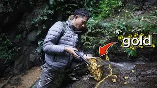Using a metal detector, I discovered exposed pure gold.