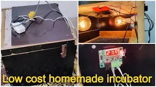 🔥 Easy DIY Incubator for Beginners | Hatch Eggs at Home 🐣🔥