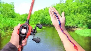 Catching GIANT Bass on BIG Worms (Bank Fishing)