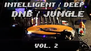 Intelligent DNB / Deep Jungle mix vol. 2