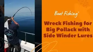 Boat Fishing Wreck Fishing for Pollock with Sidewinder Lures