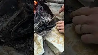 Клей из природы #выживание #кемпинг #на природе #природа #первобытный