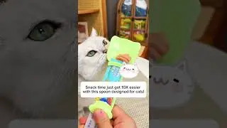 Make snack time exciting and easy! #catlovers #catspoons #catneeds