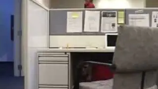 Work Place Prank