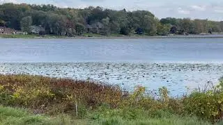 White Lake Twp lakes