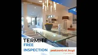 PestControl.Buzz #insects #commercialpestcontrol #pestremoval #ants #pestcontrolbusiness