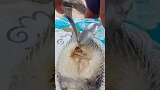 Cooking a Whole Porcupine Fish for a Rich, Savory Soup