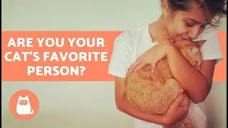 Are You Your Cat’s Favorite Person? Discover!