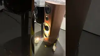 Canton Reference & AVM #bass #hifi #loudspeaker #music #hifisound #sound