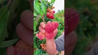 &ldquo;Best Foods for Healthy Blood | Improve Circulation Naturally&rdquo;