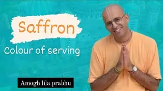 saffron - colour of Serving || HG Amogh Lila prabhu||