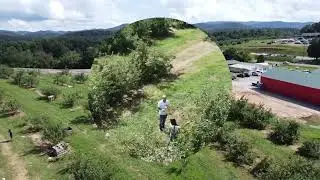 Apple picking drone video