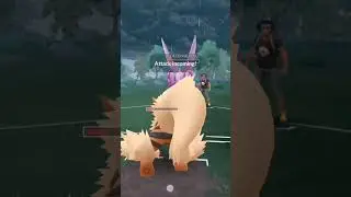 #pok&egrave;mon #pok&egrave;mongo #pok&egrave;montrainers