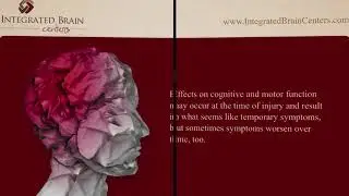 Concussion Support In Denver - Denver Concussion Support