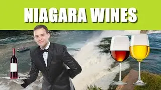 Wineries of the Niagara Wine Trail