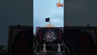 Shahadat Imam Naqi a.s | Samarra | 3 Rajab | Hum Hain Hussaini