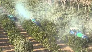 SPRAY PUMP (HORTICULTURE) (+919877522000)