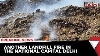 Delhi Fire Outbreak: Fire At Bhalaswa Khata, 10 Fire Tenders Rushed To The Spot | Breaking News