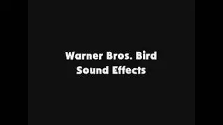 WB Bird SFX