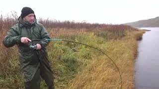 Индига 2019