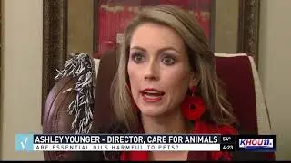 VERIFY: Can essential oils be harmful to pets?