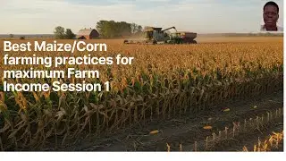 BEST MAIZE OR CORN FARMING PRACTICES 1: UTORIAL. Florence Alimo: Living Hope Mixed Farm: Successful
