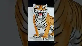 Wait for the tiger&hellip;