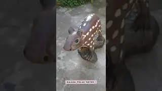Paca de cimento