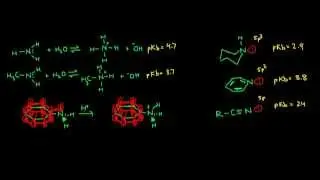 Effects on Amine Basicity