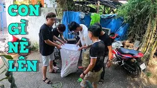 NVL - Quốc Kh&ocirc;n Thiết Mỏ Gọn troll Nhặt Được Heo