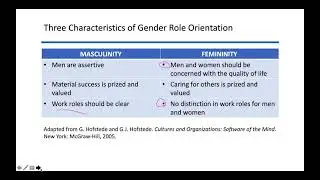 MBA Hofstede's cultural values